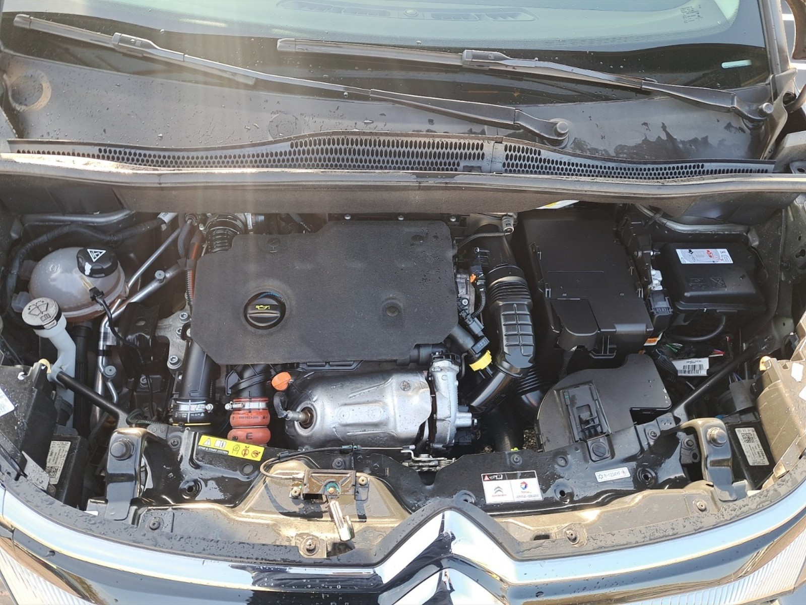 Citroen C3 Aircross 1.5 bluehdi shine pack s&s 110cv - 10