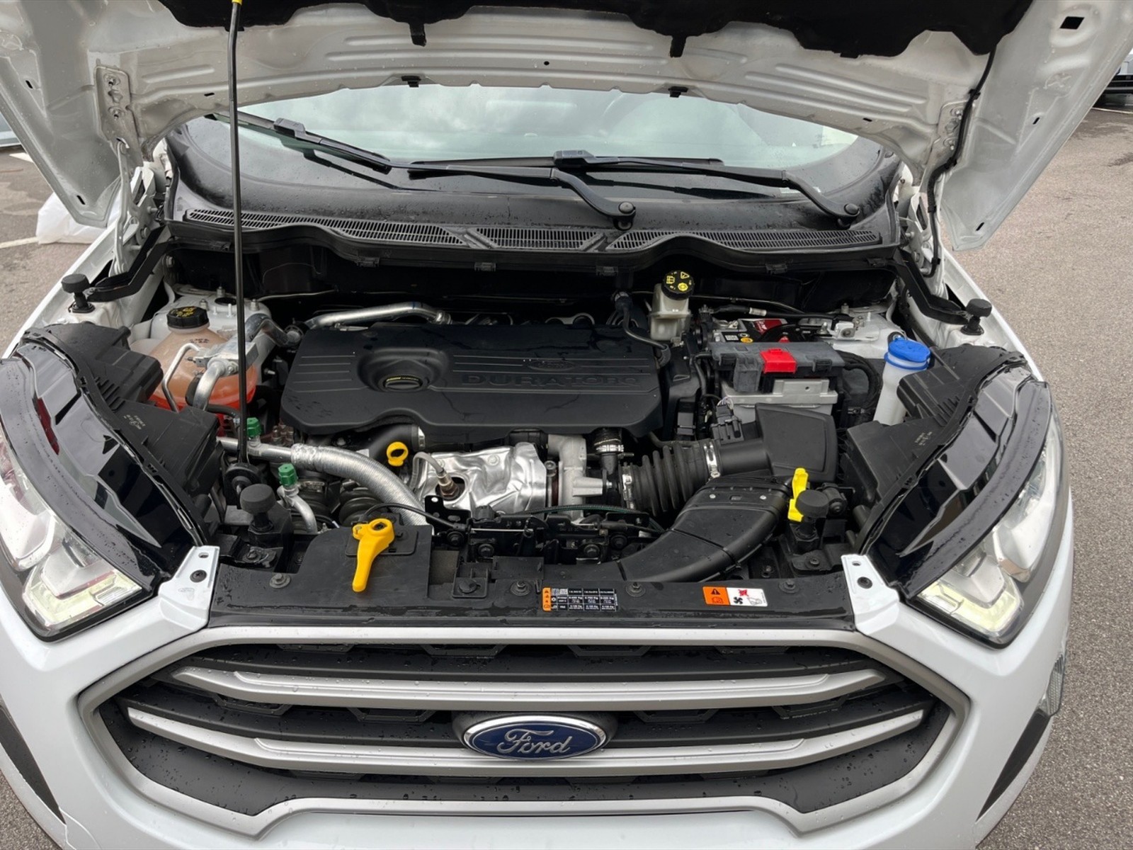 Ford EcoSport 1.5 tdci business 100cv - 10