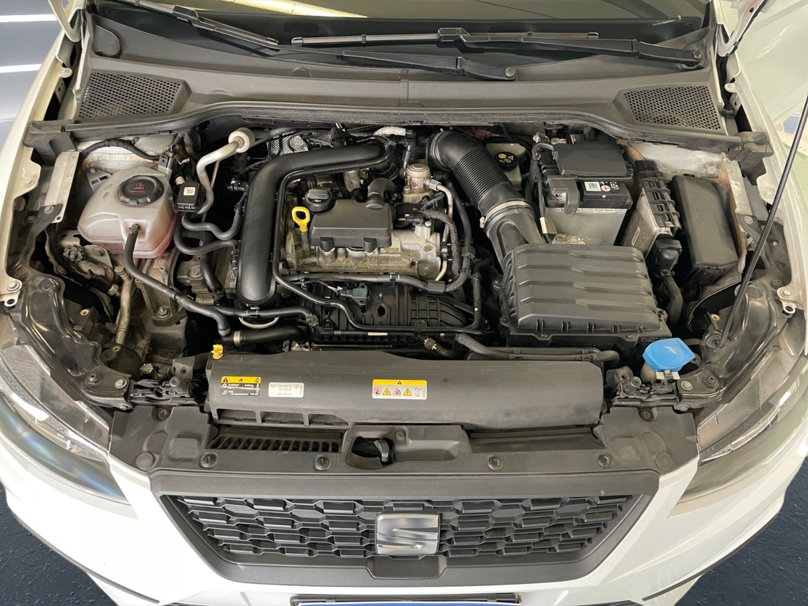 Seat Ibiza 1.0 ecotsi business 95cv - 10