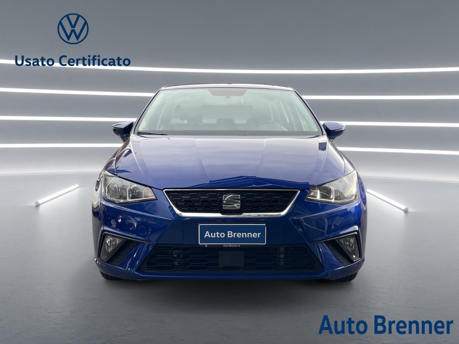 Seat Ibiza 1.6 tdi business 95cv - 2