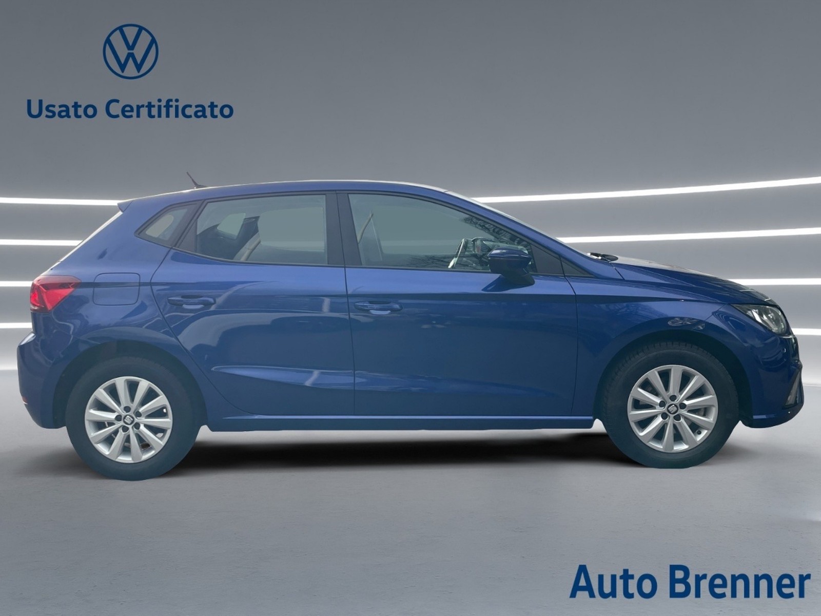 Seat Ibiza 1.6 tdi business 95cv - 3