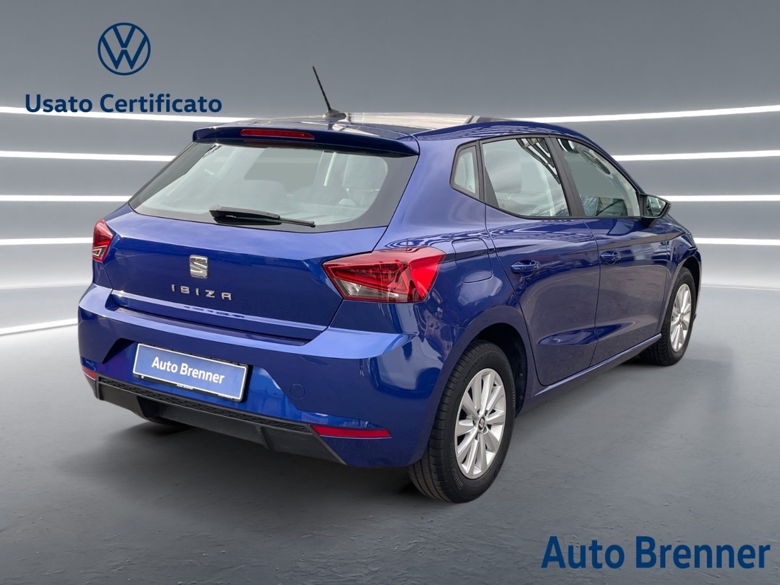 Seat Ibiza 1.6 tdi business 95cv - 4