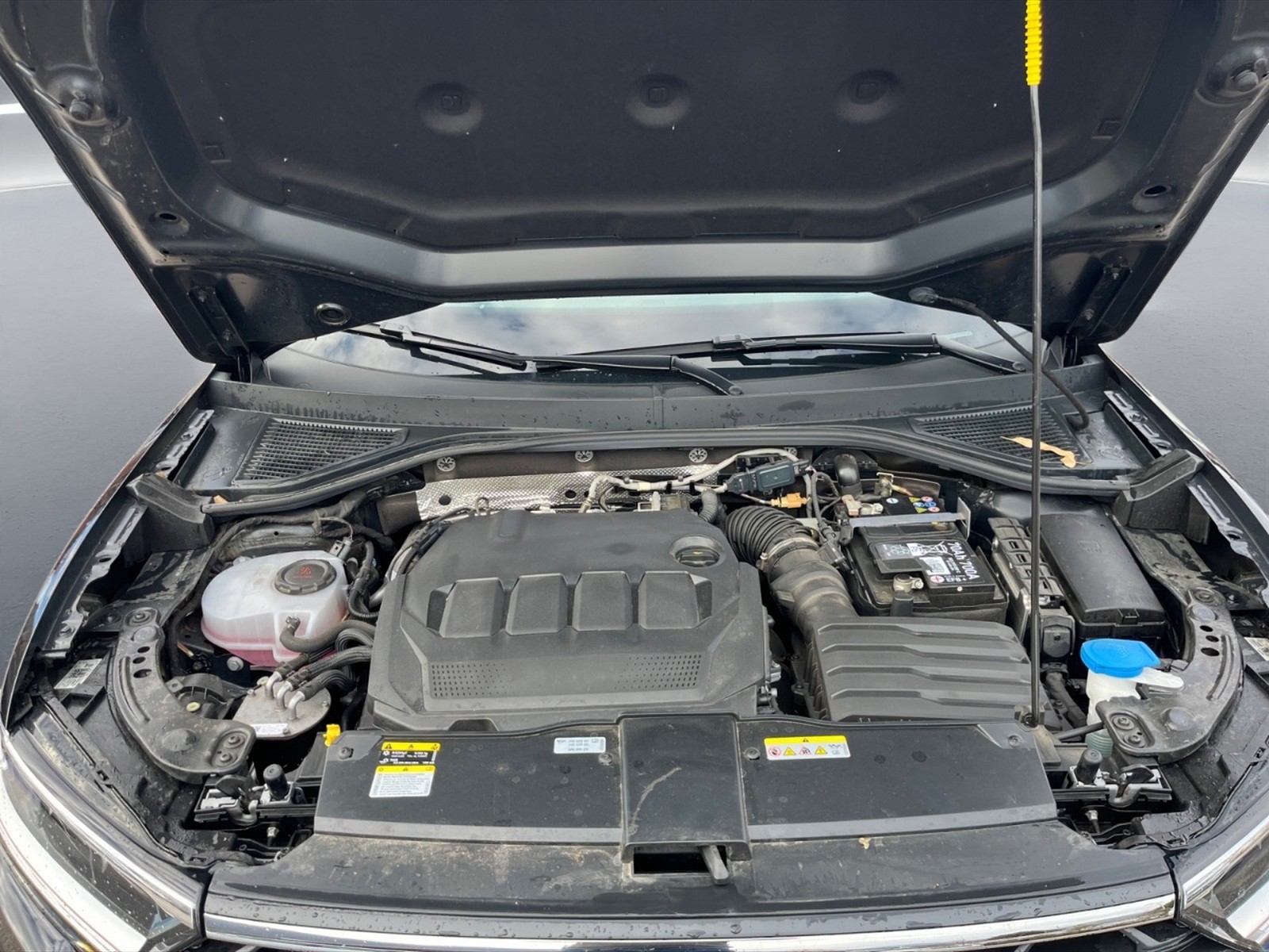 Volkswagen T-Roc 2.0 tdi life 150cv dsg - 11