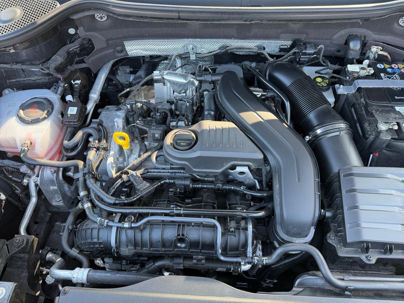 Cupra Ateca 1.5 tsi 150cv dsg - 10