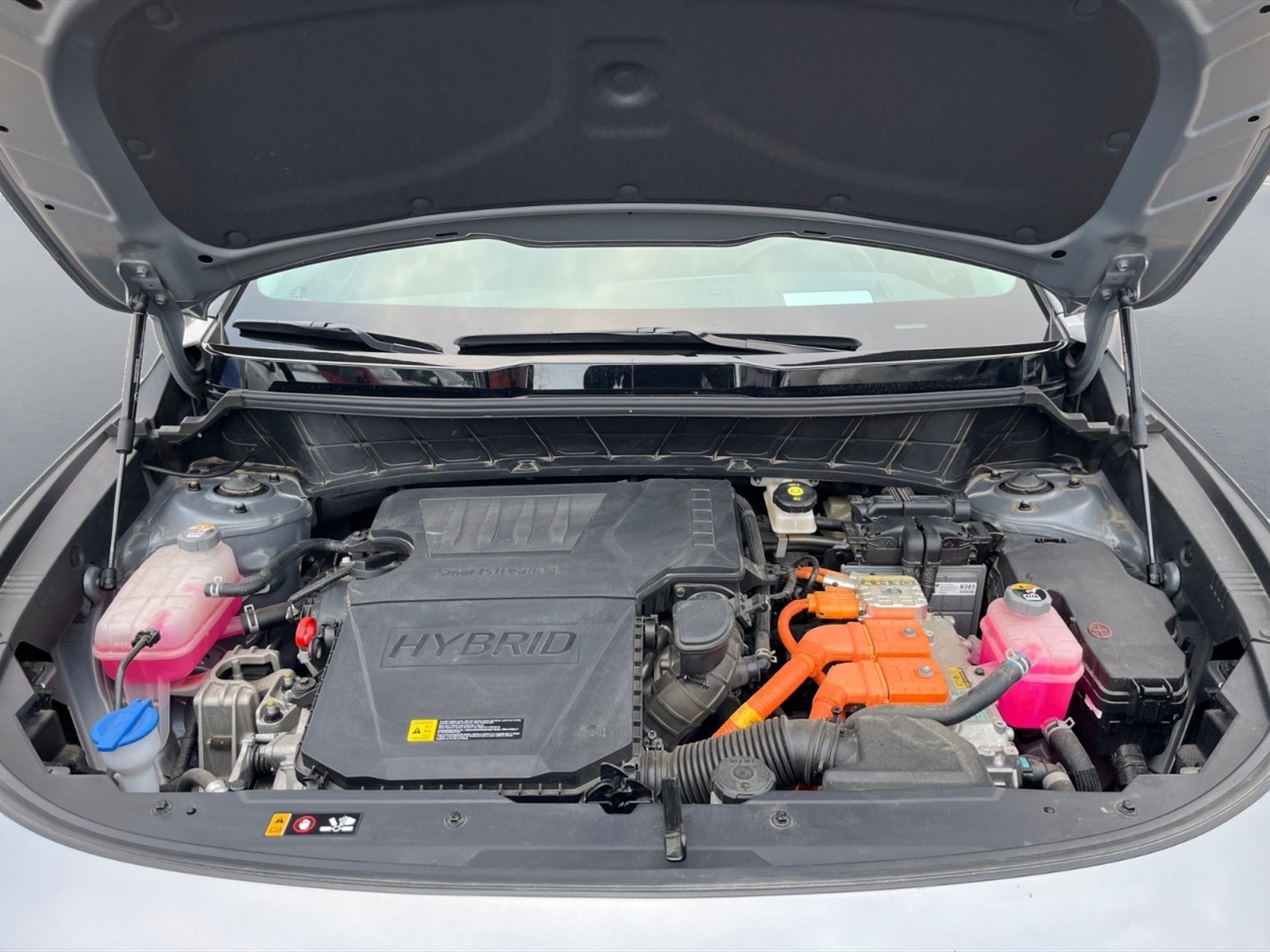 Kia Niro 1.6 gdi hev evolution premium pack dct6 - 10