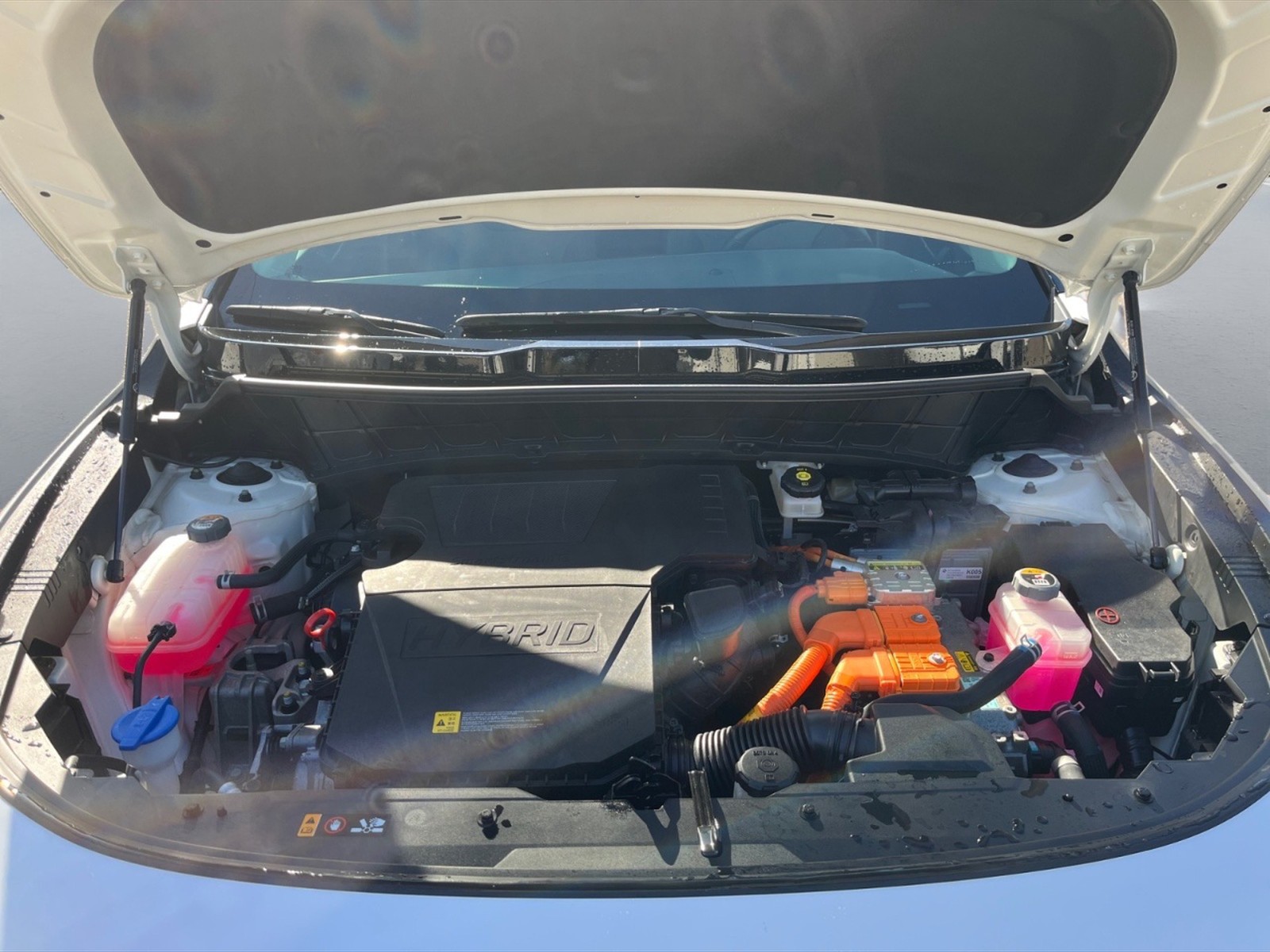 Kia Niro 1.6 gdi hev Evolution dct - 10