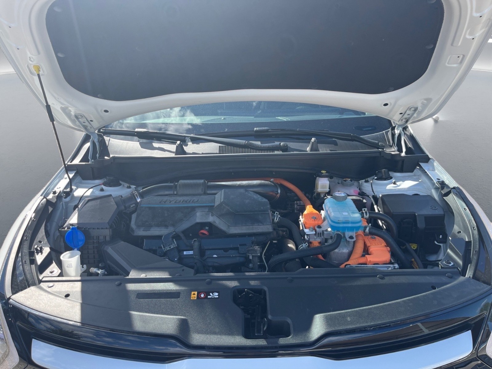 Kia Sportage 1.6 tgdi phev gt-line plus premium pack awd auto - 10