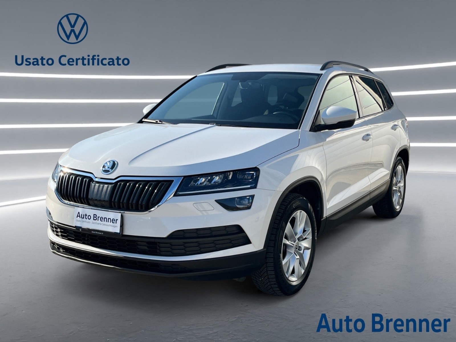 Skoda Karoq 2.0 tdi evo ambition 4x4 150cv dsg - 1