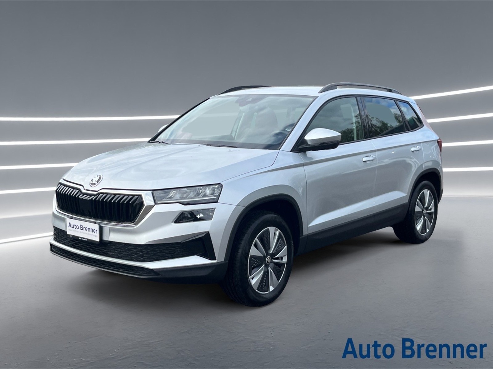 Skoda Karoq 2.0 tdi executive 4x4 150cv dsg - 1