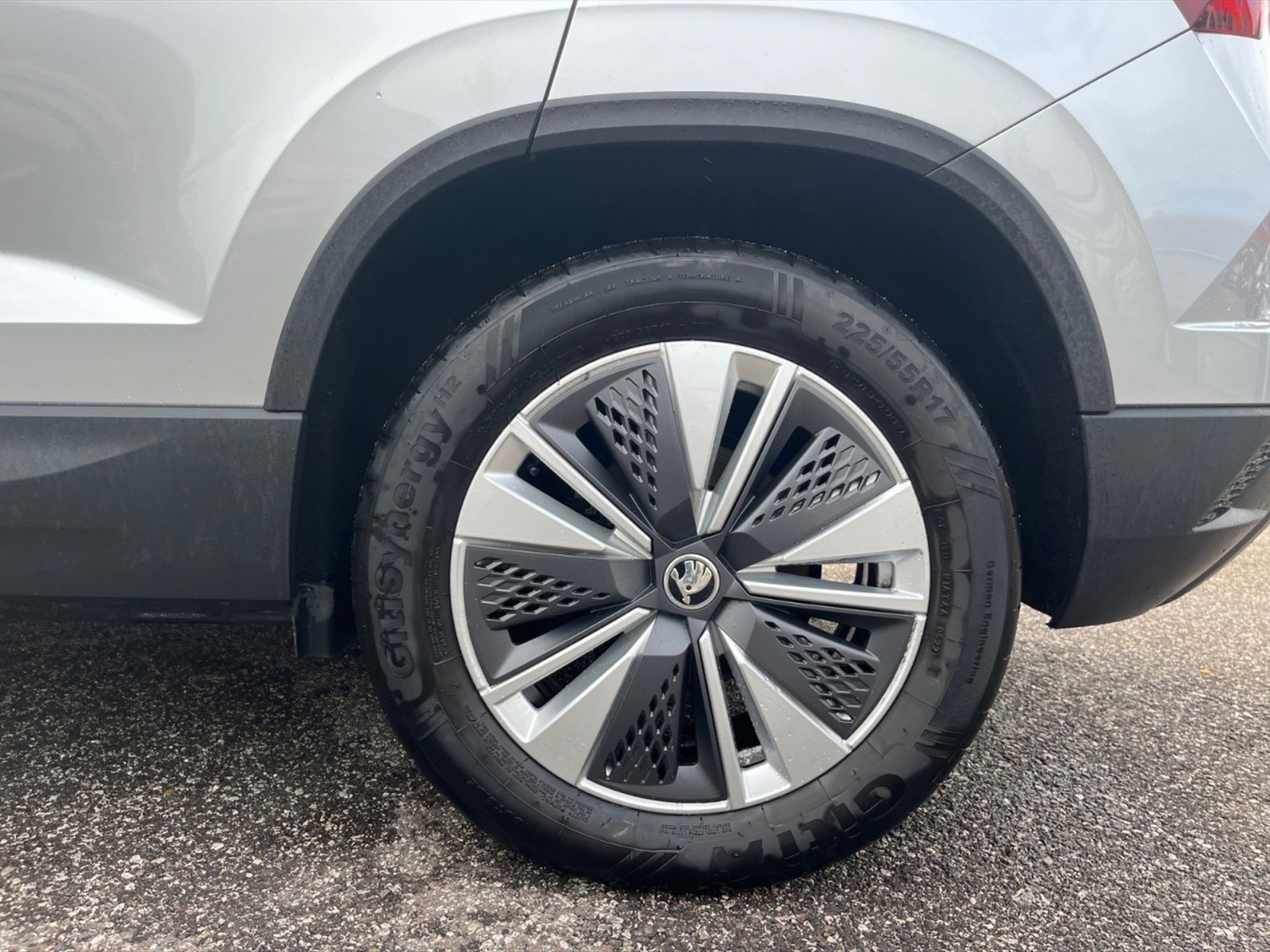 Skoda Karoq 2.0 tdi executive 4x4 150cv dsg - 24