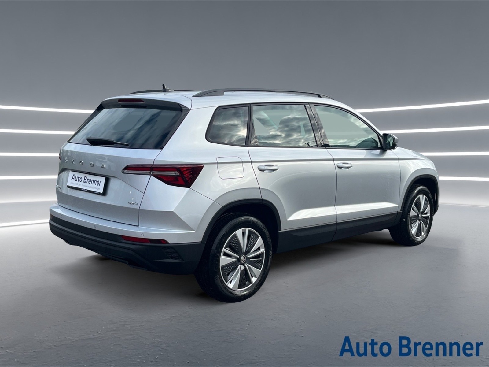 Skoda Karoq 2.0 tdi executive 4x4 150cv dsg - 4