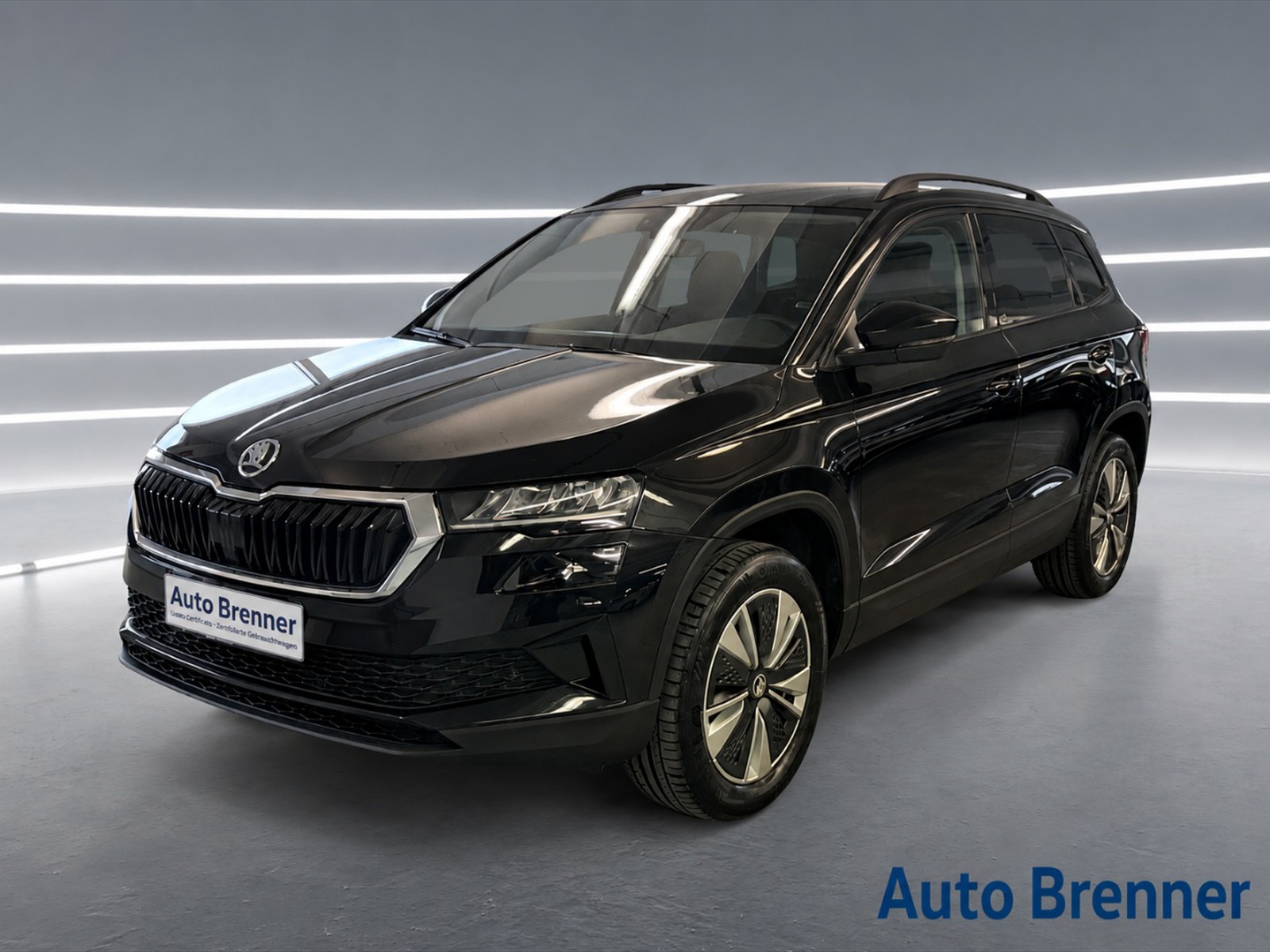 Skoda Karoq 2.0 tdi evo ambition 4x4 150cv dsg - 1