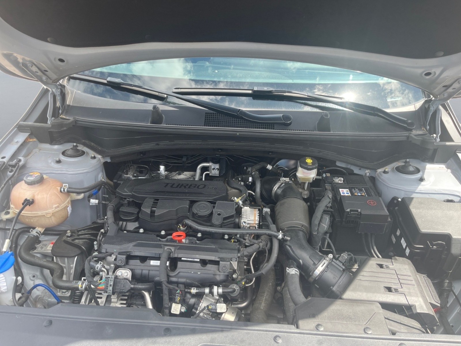 Kia Sportage 1.6 tgdi mhev business imt - 10