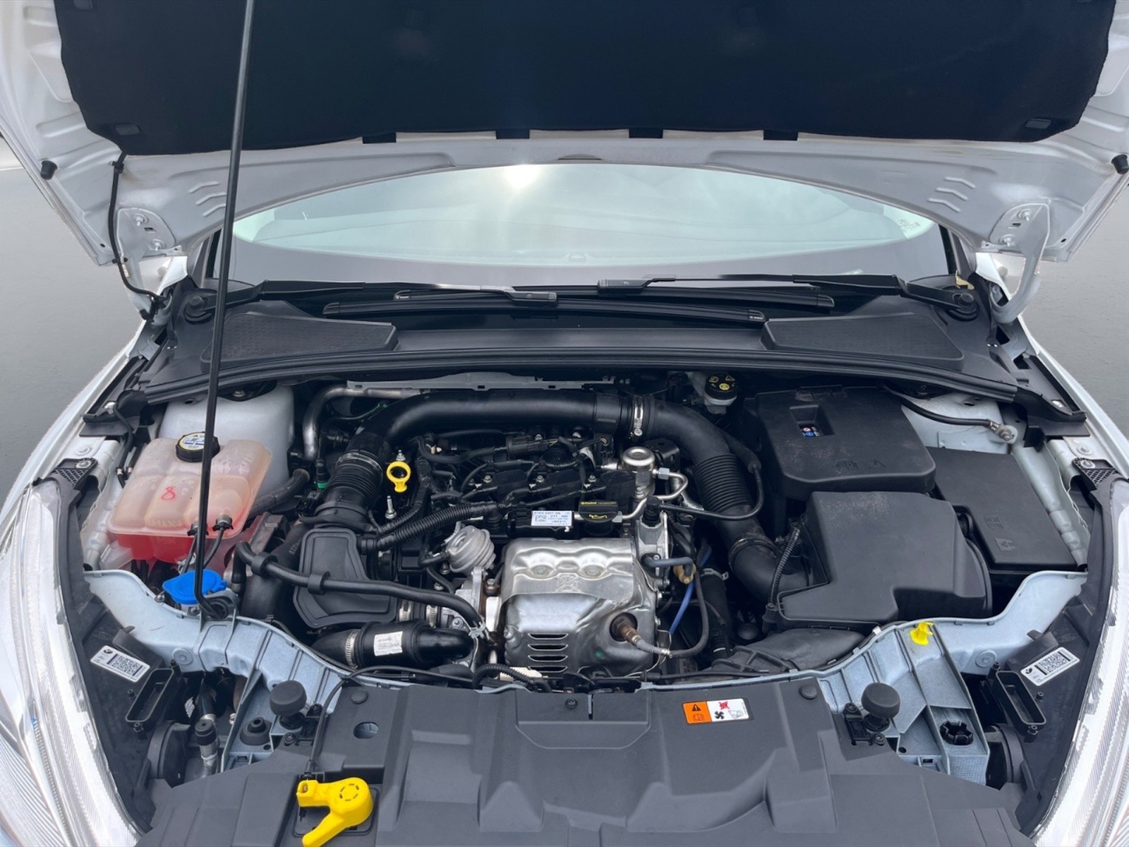 Ford Focus 5p 1.0 ecoboost plus s&s 100cv - 10