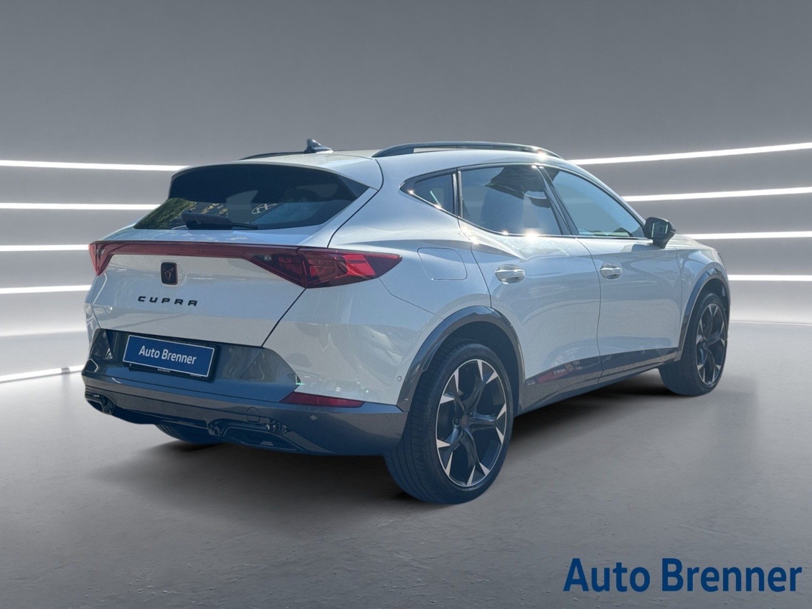 Cupra Formentor 2.0 tdi 150cv - 4