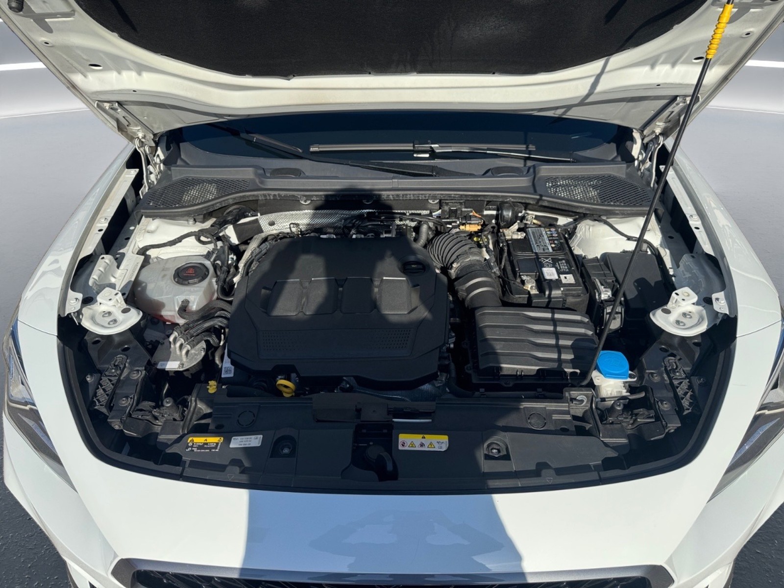 Cupra Formentor 2.0 tdi 150cv - 10