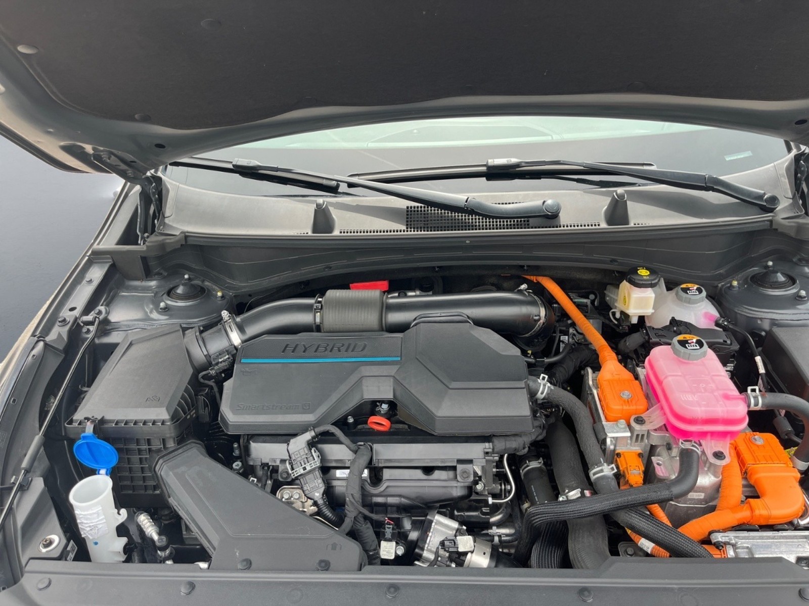 Kia Sportage 1.6 tgdi hev gt-line awd auto - 10