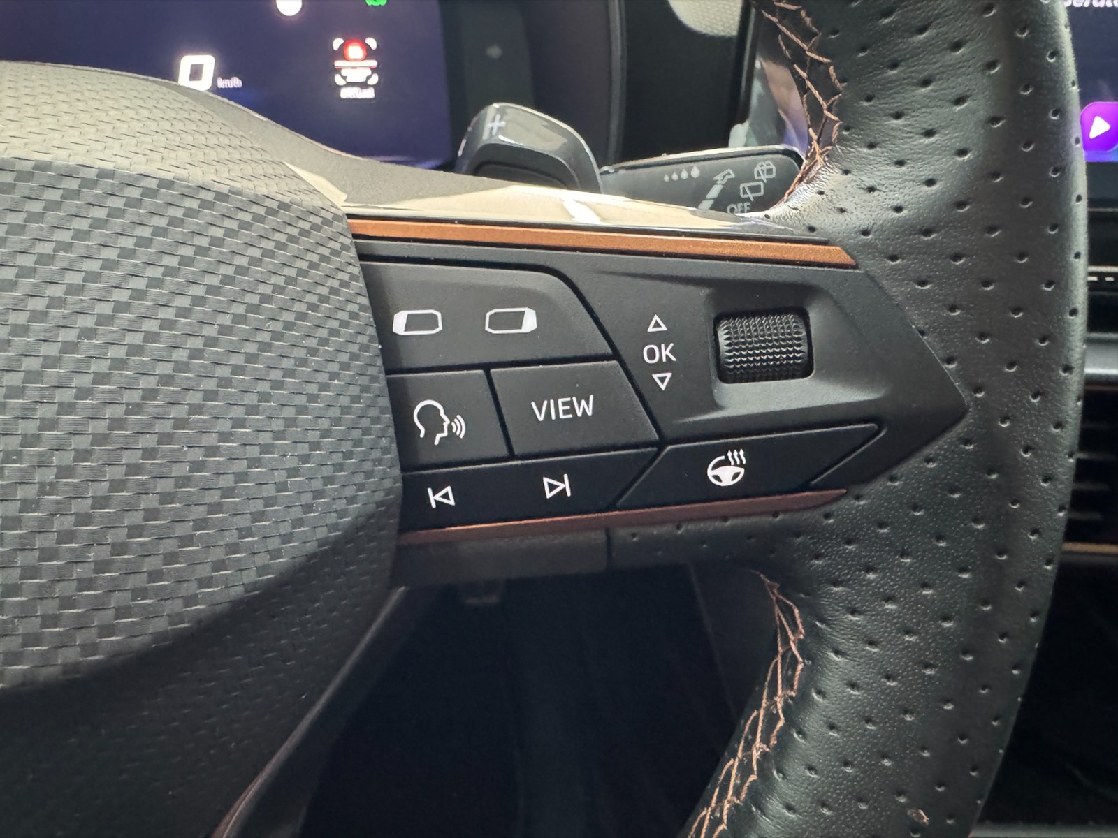 Cupra Leon 2.0 tsi 190cv dsg - 18