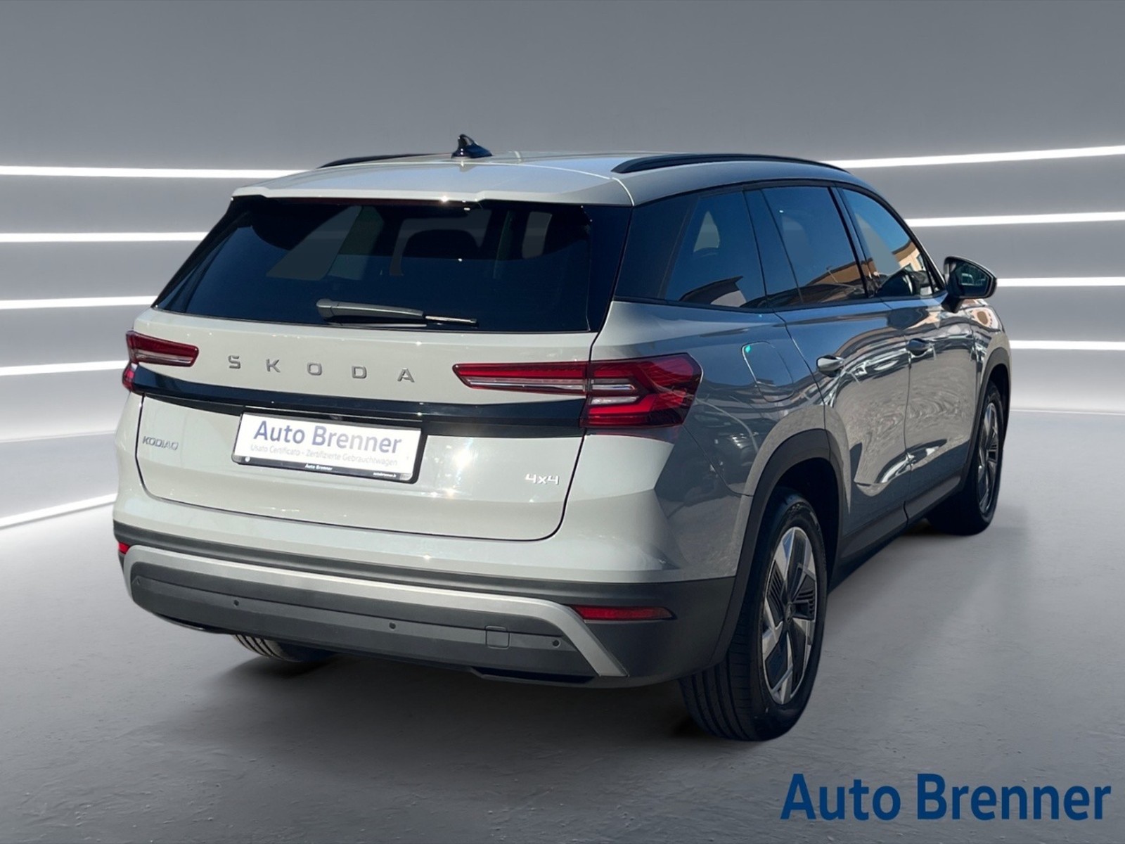 Skoda Kodiaq 2.0 tdi executive 4x4 193cv dsg - 4