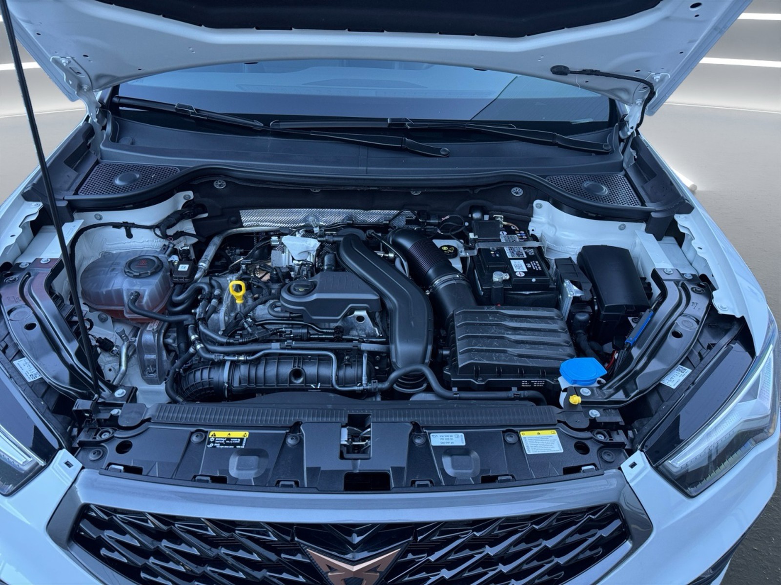 Cupra Ateca 1.5 tsi 150cv dsg - 10