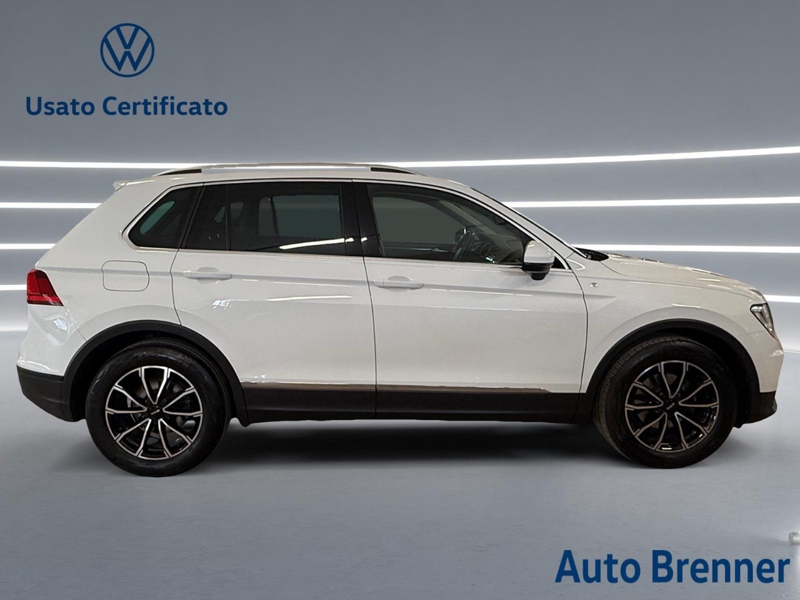 Volkswagen Tiguan 2.0 tdi business 150cv - 3